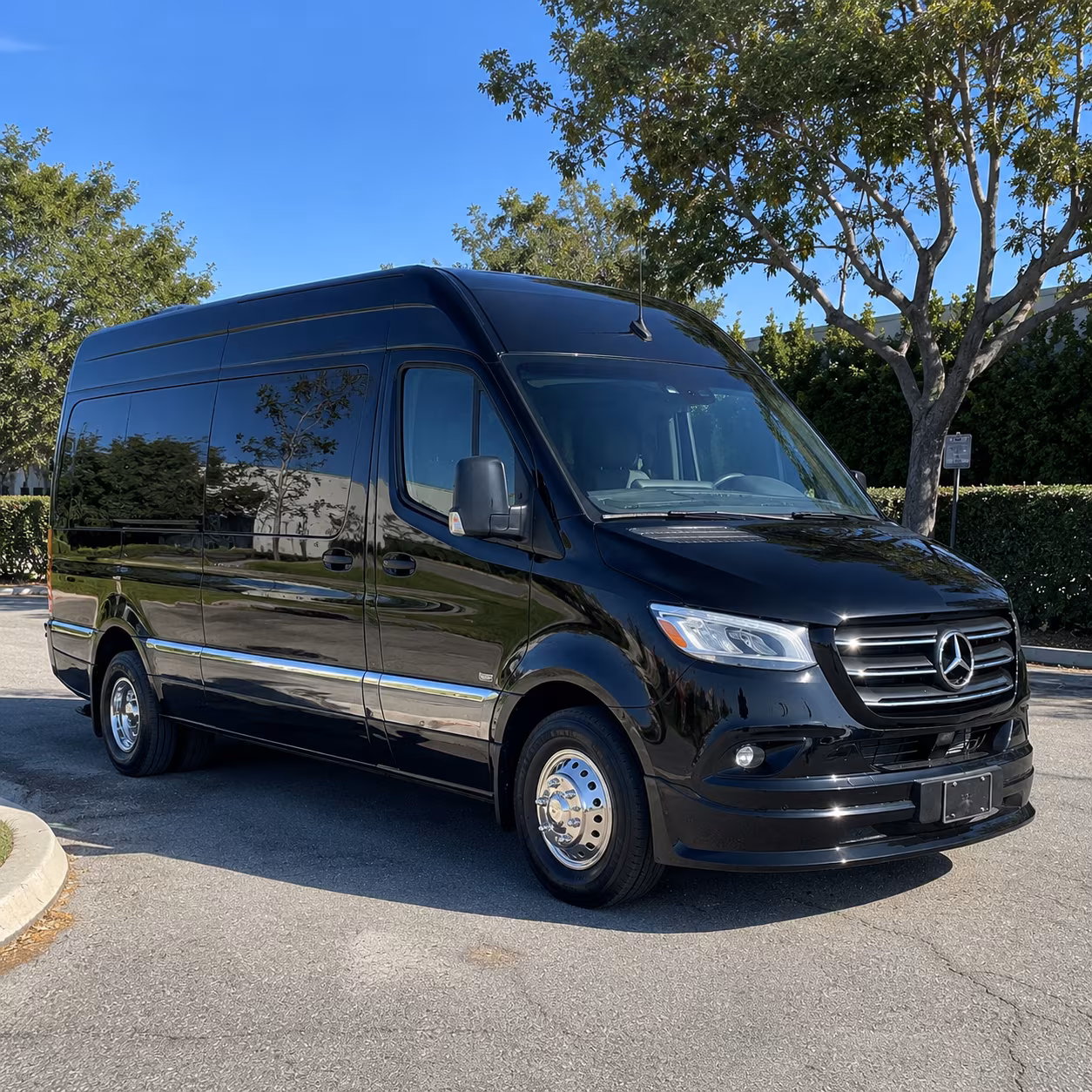 bachelor and bachelorette party sprinter van rentals in los angeles