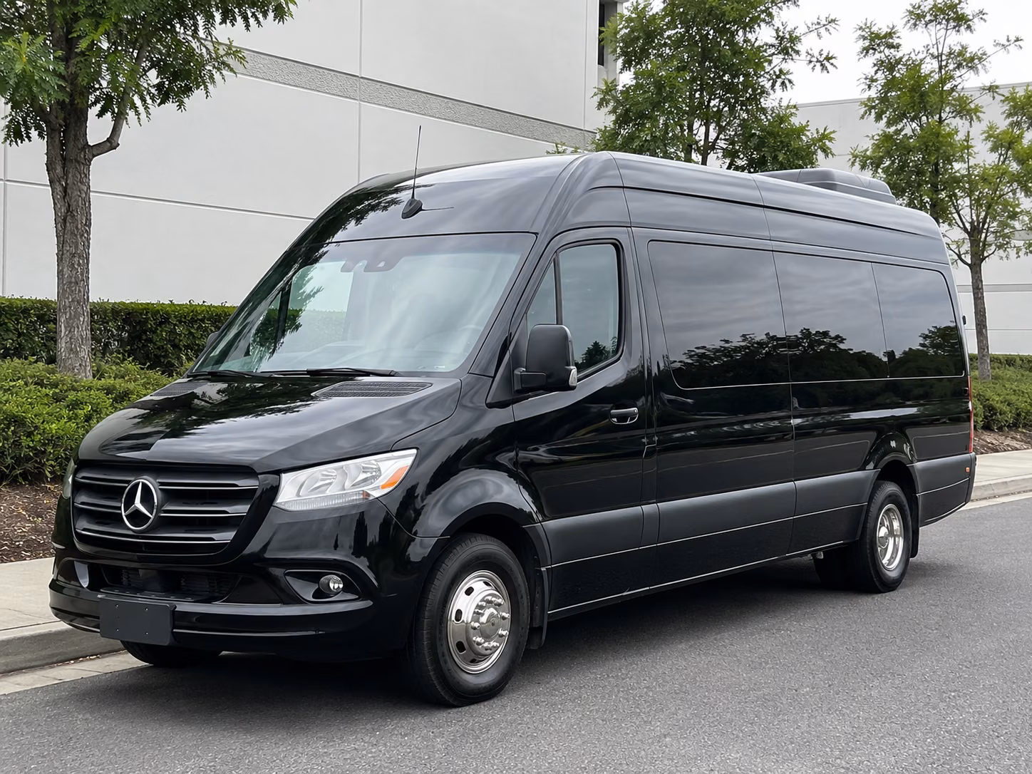 los angeles wedding sprinter van rental